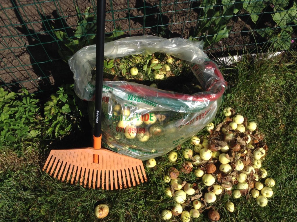 SIA “Eco Baltia vide” aicina rīdziniekus šķirot bioloģiskos atkritumus