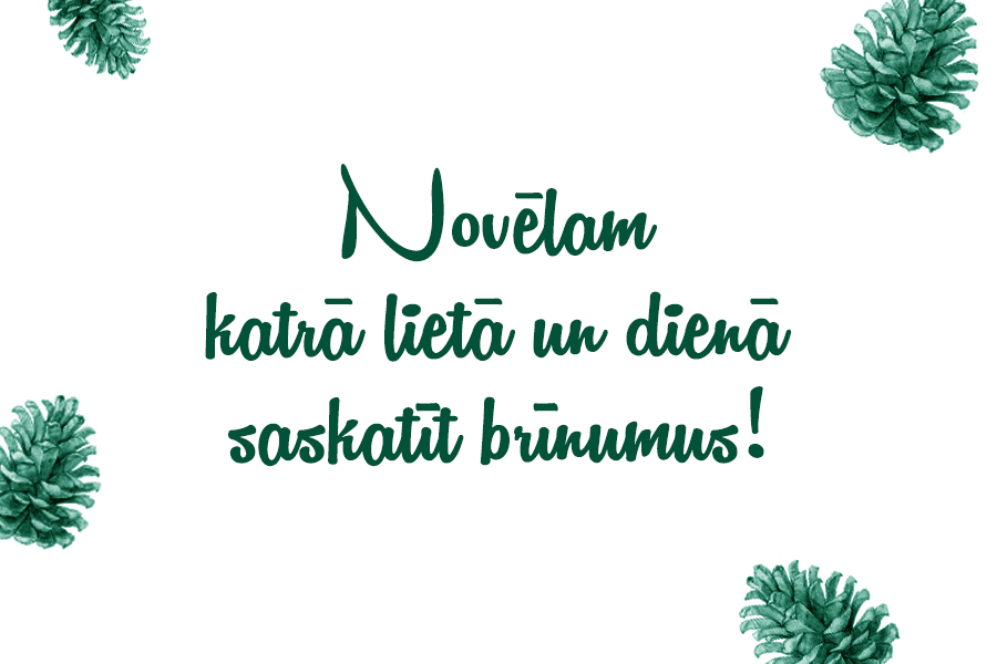 Šajos Ziemassvētkos un Jaunajā gadā