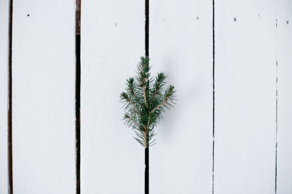 Šogad aicinām svinēt Zaļos Ziemassvētkus