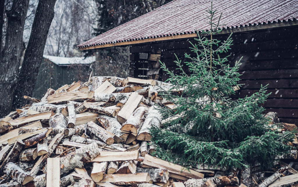 “Eco Baltia vide” nodrošinās vairākas iespējas svētku eglīšu izvešanai