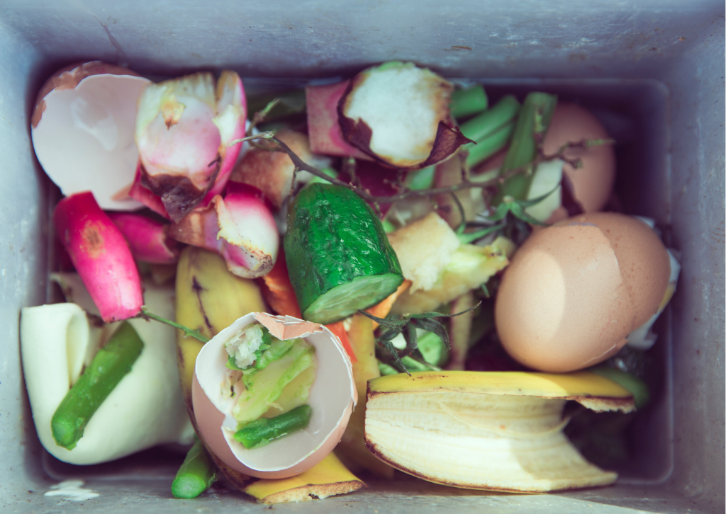 SIA “Eco Baltia vide” piedāvātās iespējas bioloģisko atkritumu šķirošanai Salaspils novadā