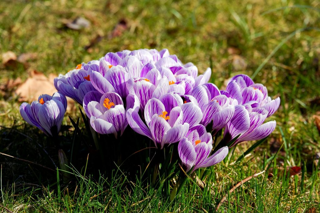 Klientu apkalpošanas centru un atkritumu šķirošanas laukumu darba laika izmaiņas Lieldienās